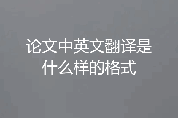 论文中英文翻译是什么样的格式