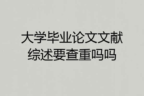 大学毕业论文文献综述要查重吗吗