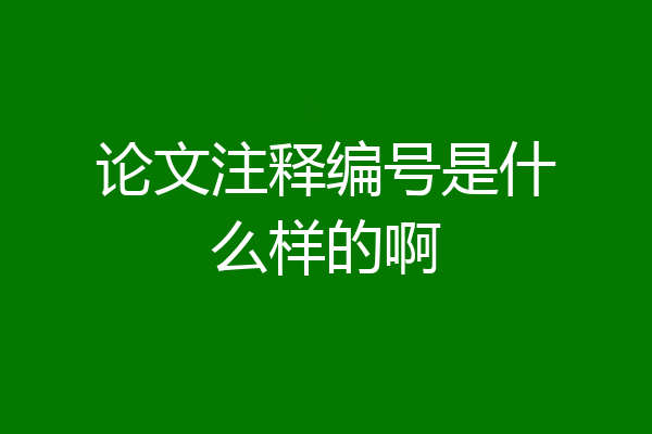 论文注释编号是什么样的啊