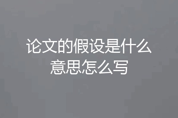 论文的假设是什么意思怎么写