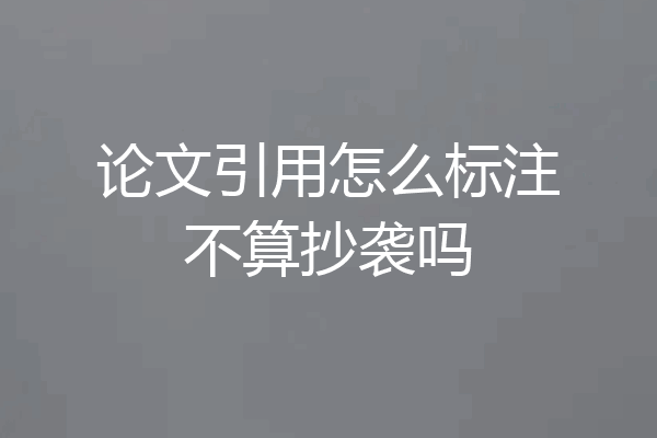论文引用怎么标注不算抄袭吗