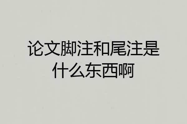 论文脚注和尾注是什么东西啊