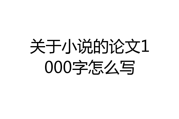 关于小说的论文1000字怎么写