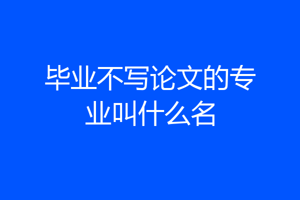 毕业不写论文的专业叫什么名