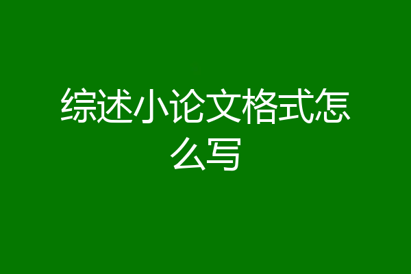 综述小论文格式怎么写
