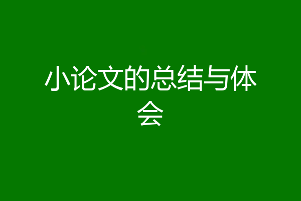 小论文的总结与体会