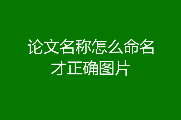 论文名称怎么命名才正确图片