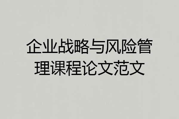 企业战略与风险管理课程论文范文