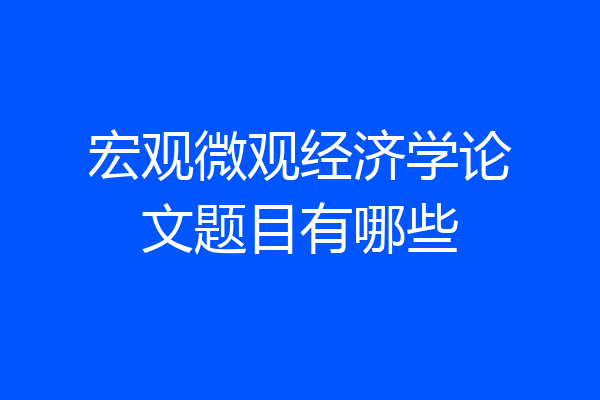 宏观微观经济学论文题目有哪些