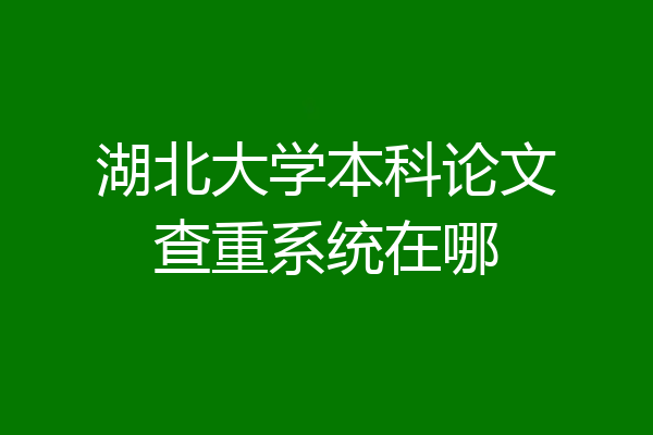 湖北大学本科论文查重系统在哪