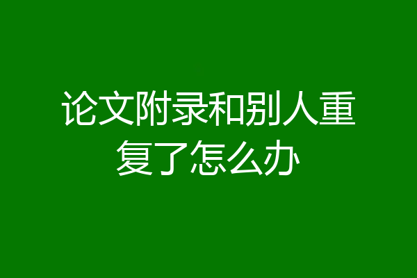 论文附录和别人重复了怎么办