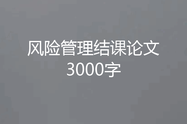 风险管理结课论文3000字