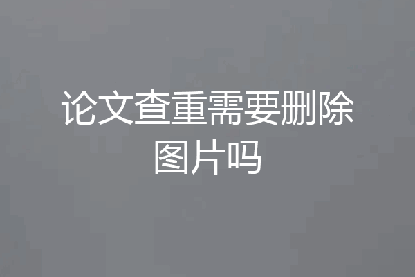 论文查重需要删除图片吗