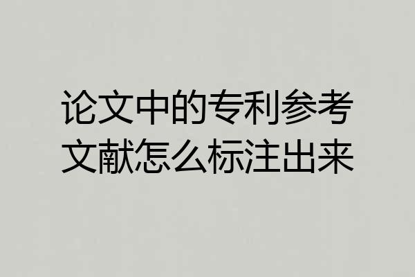 论文中的专利参考文献怎么标注出来