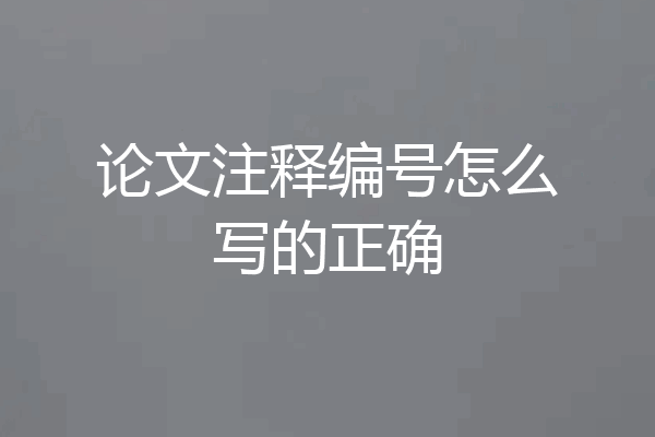论文注释编号怎么写的正确