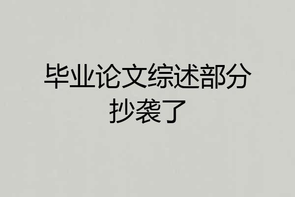 毕业论文综述部分抄袭了