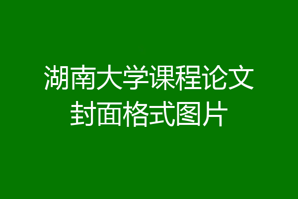湖南大学课程论文封面格式图片