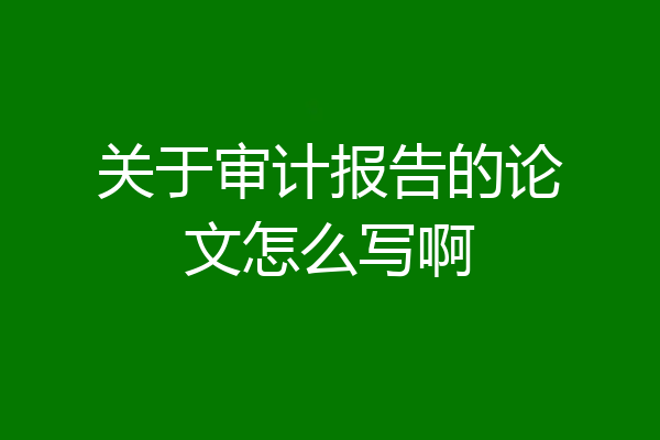 关于审计报告的论文怎么写啊