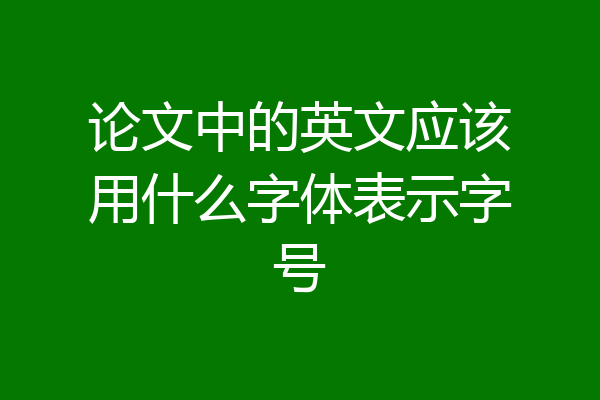 论文中的英文应该用什么字体表示字号