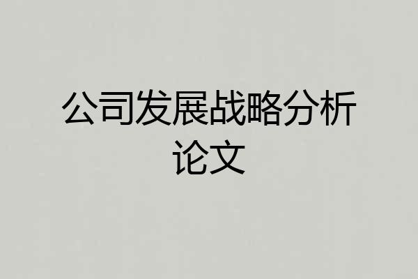 公司发展战略分析论文