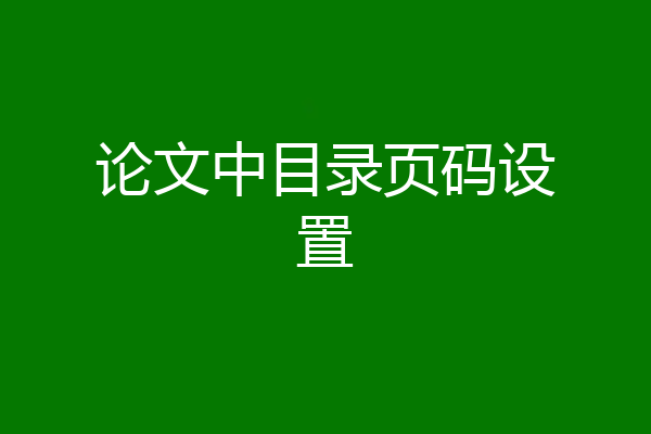 论文中目录页码设置