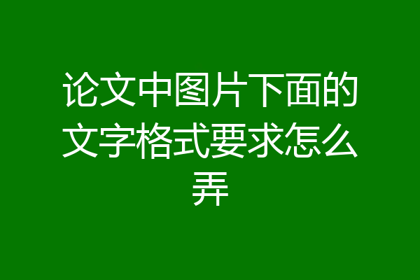 论文中图片下面的文字格式要求怎么弄