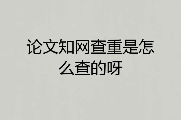 论文知网查重是怎么查的呀