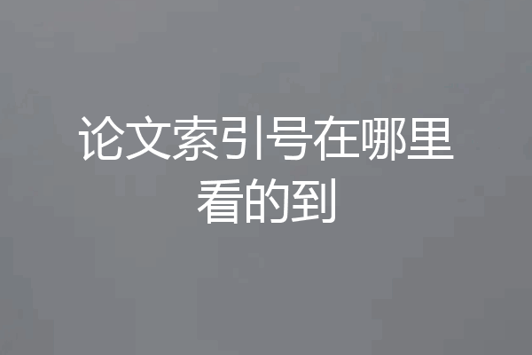 论文索引号在哪里看的到