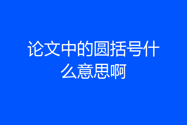 论文中的圆括号什么意思啊