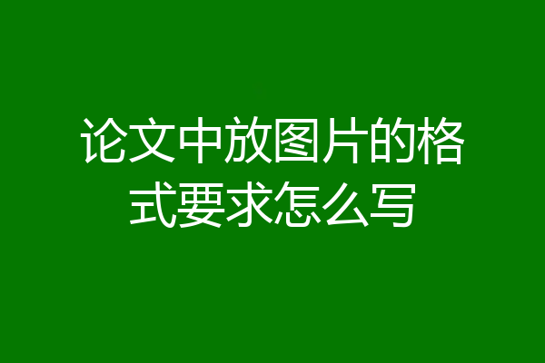 论文中放图片的格式要求怎么写