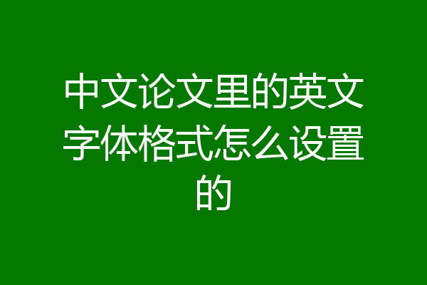 中文论文里的英文字体格式怎么设置的