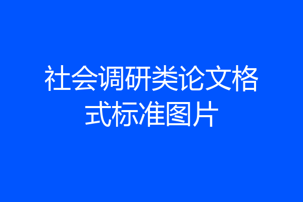 社会调研类论文格式标准图片