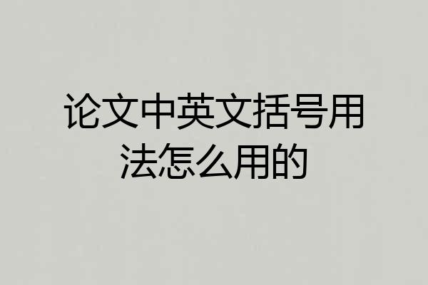 论文中英文括号用法怎么用的