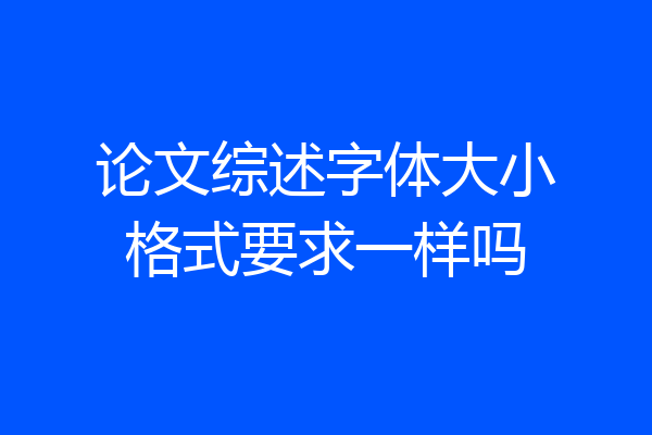 论文综述字体大小格式要求一样吗