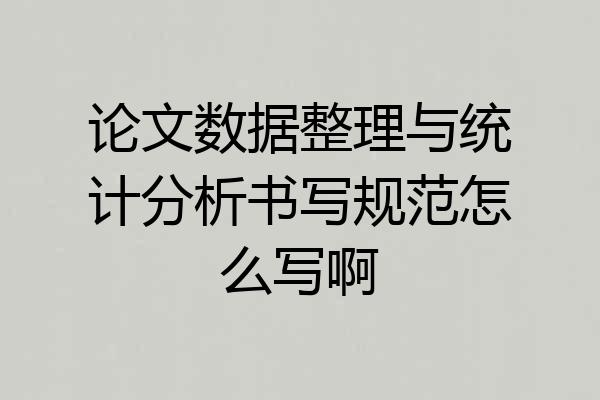 论文数据整理与统计分析书写规范怎么写啊