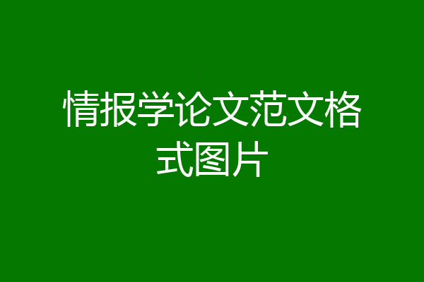 情报学论文范文格式图片