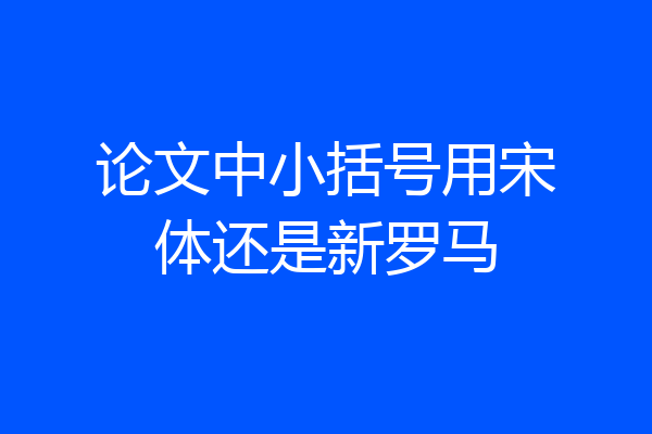 论文中小括号用宋体还是新罗马