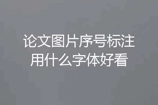 论文图片序号标注用什么字体好看
