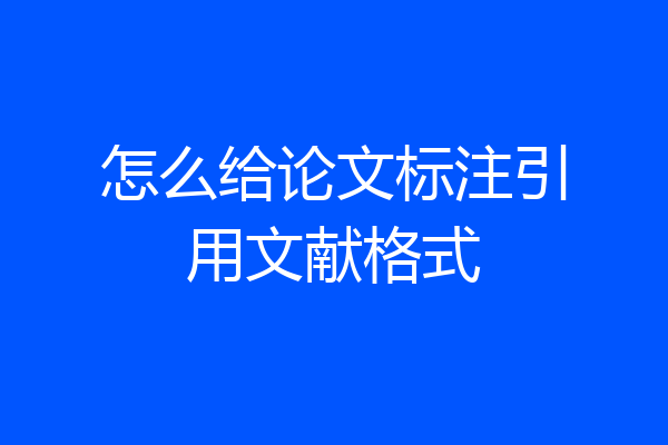 怎么给论文标注引用文献格式