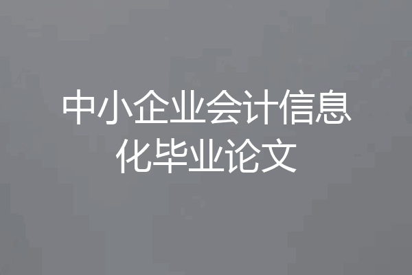 中小企业会计信息化毕业论文