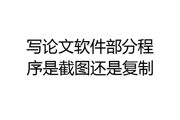 写论文软件部分程序是截图还是复制