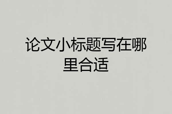 论文小标题写在哪里合适