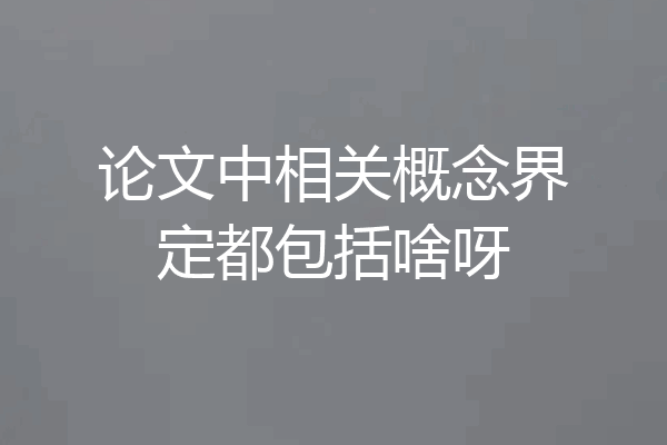 论文中相关概念界定都包括啥呀