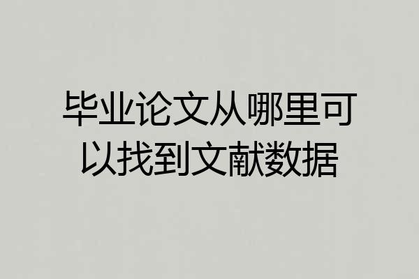 毕业论文从哪里可以找到文献数据