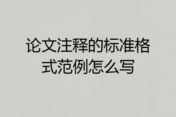 论文注释的标准格式范例怎么写