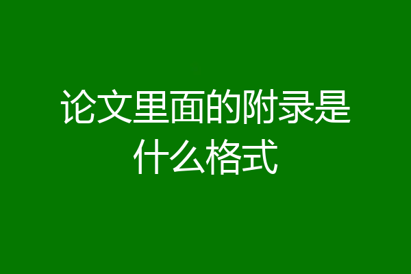 论文里面的附录是什么格式