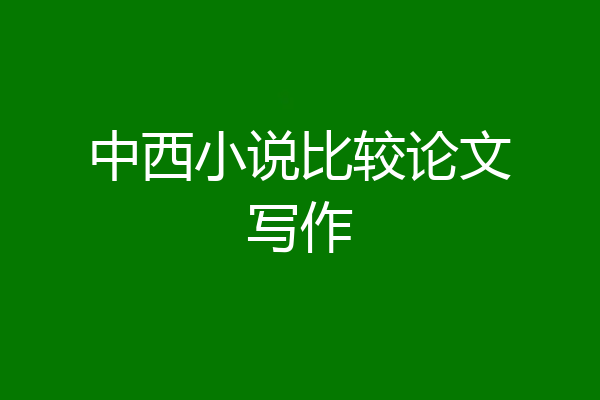 中西小说比较论文写作