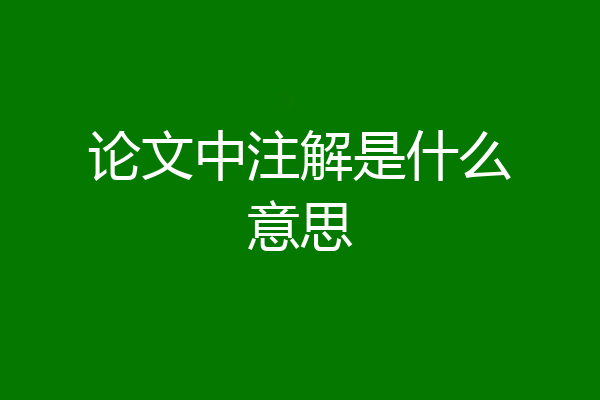 论文中注解是什么意思