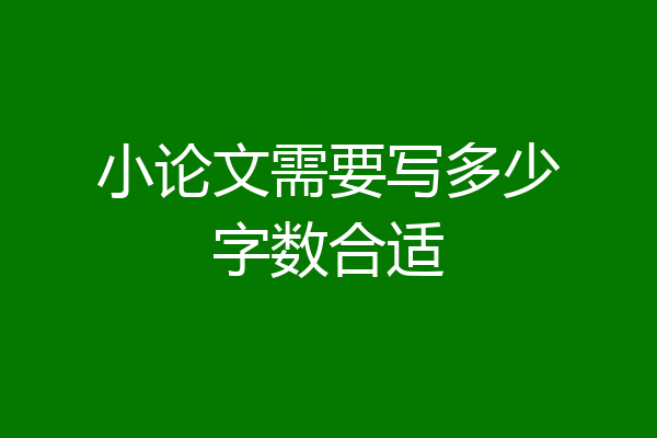 小论文需要写多少字数合适
