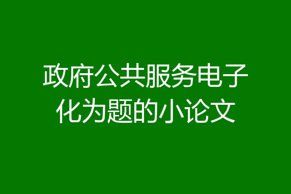 政府公共服务电子化为题的小论文